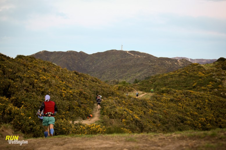 www.runwellington.com