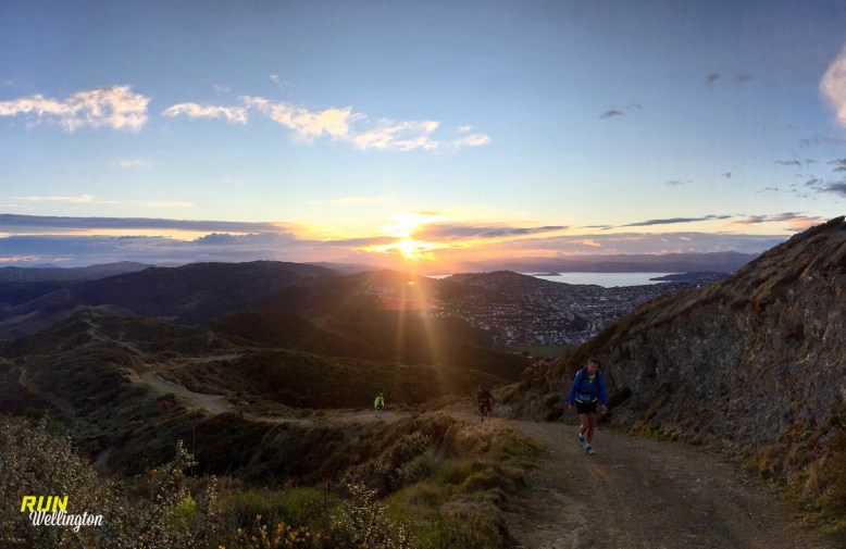 www.runwellington.com