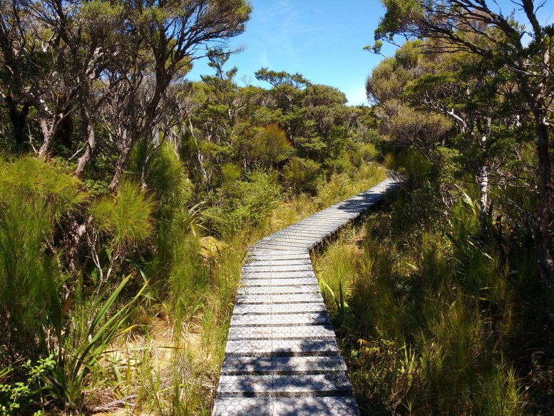 jumbo-holdsworth-1
