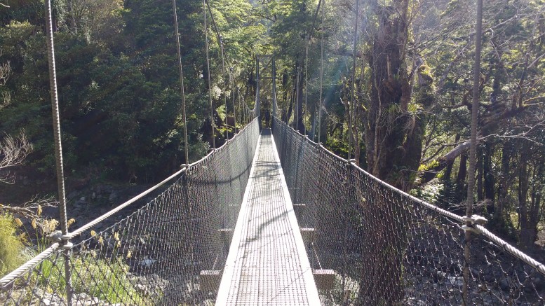 jumbo-holdsworth-9