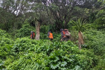 Field team in Breaker Bay